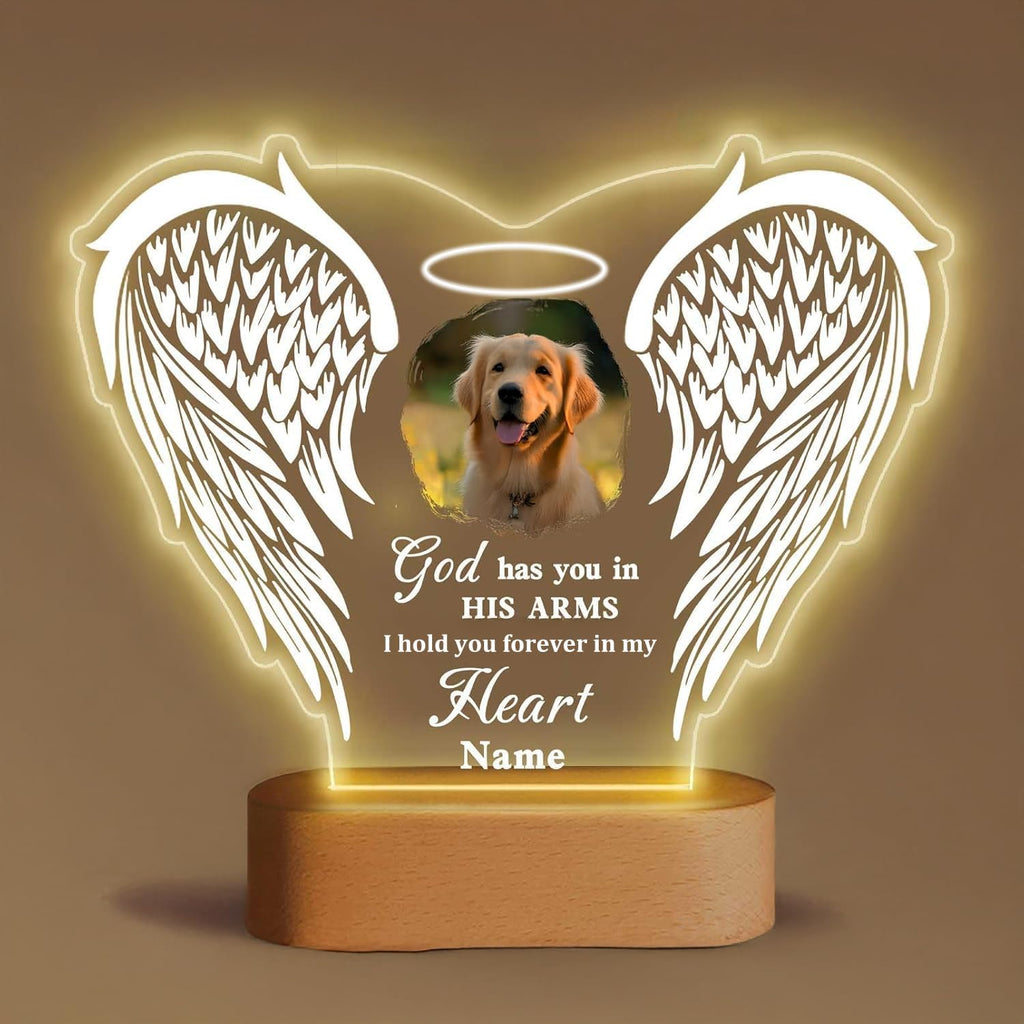 Pet Souvenir Light